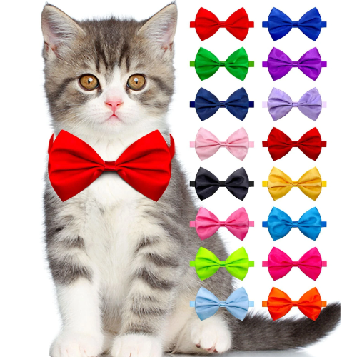 Bow Tie Collar for Cats