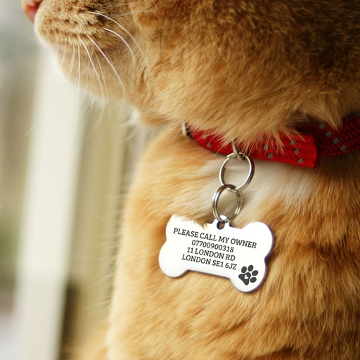 Cat and dog necklace with engraved bone ID tag