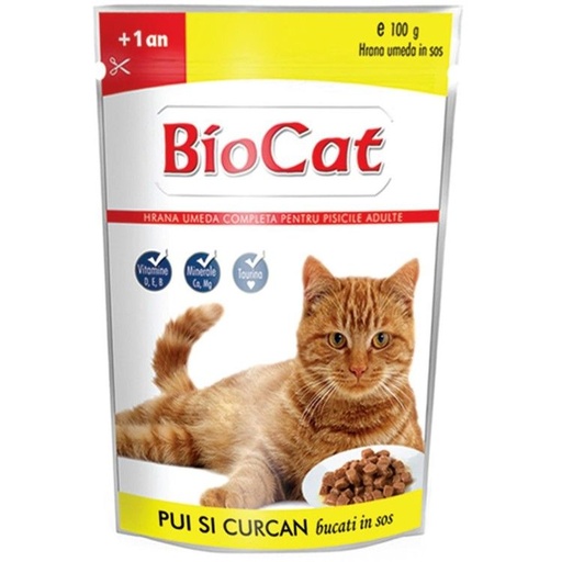 Bio Cat Adult Wet Food with Beef in Sauce 100g 