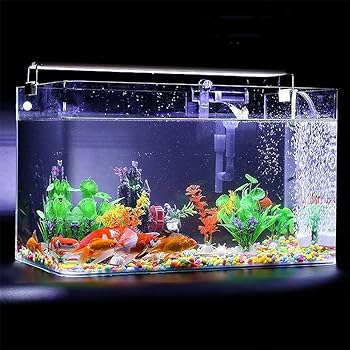 fish tank  ( M )