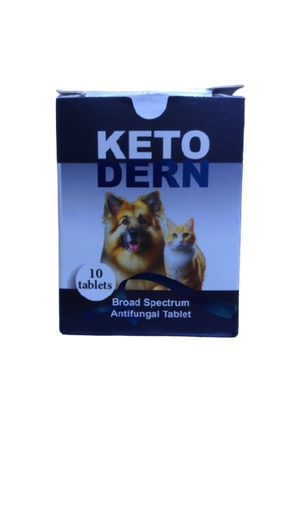  Ketoconazole for Cats – Effective Antifungal Treatment