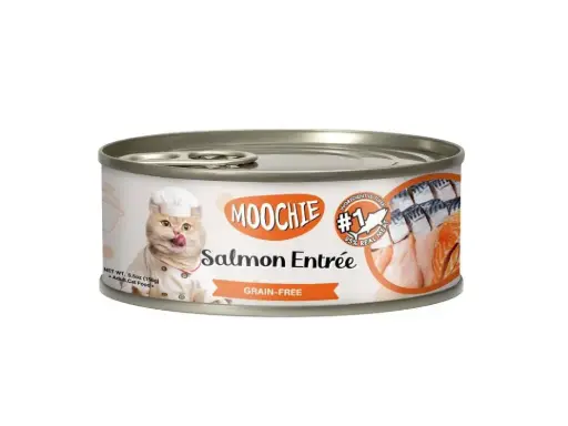 moochie tuna and salmon entree pate 156g